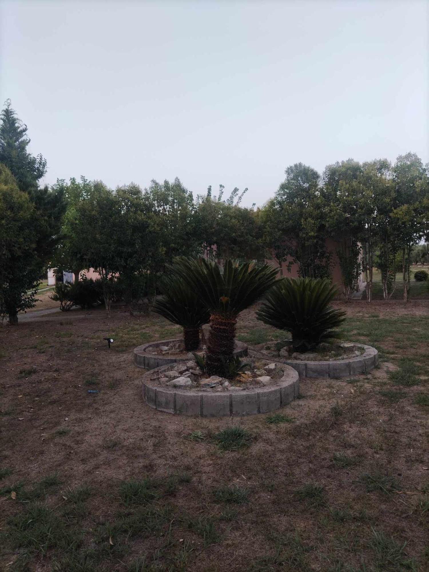 Romvi Village Amaliada 外观 照片
